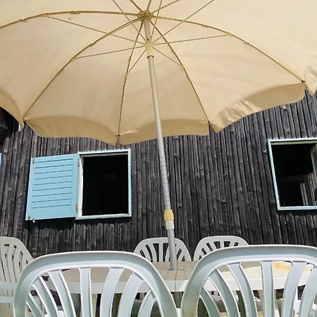 Palheiro House * Cortegaça