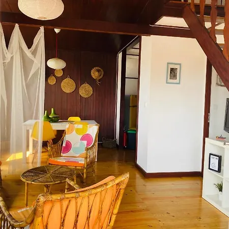 Holiday home Palheiro House *